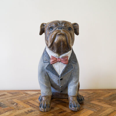 Suited Pug