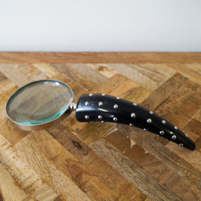 Magnifying Glass