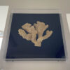 Gold Faux Coral Box Wall Art