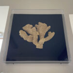Gold Faux Coral Box Wall Art