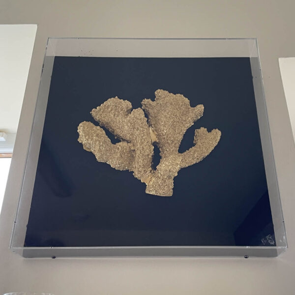 Gold Faux Coral Box Wall Art